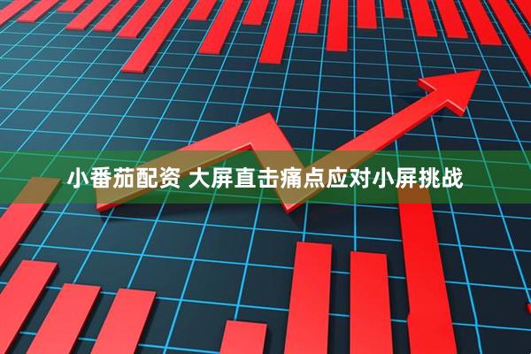 小番茄配资 大屏直击痛点应对小屏挑战