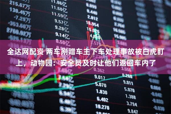 全达网配资 两车剐蹭车主下车处理事故被白虎盯上，动物园：安全员及时让他们返回车内了