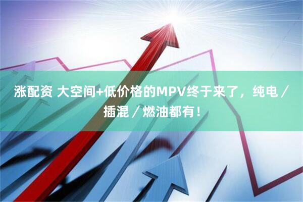 涨配资 大空间+低价格的MPV终于来了，纯电／插混／燃油都有！